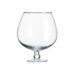 Copa Edition Brandy 13 1/2 oz